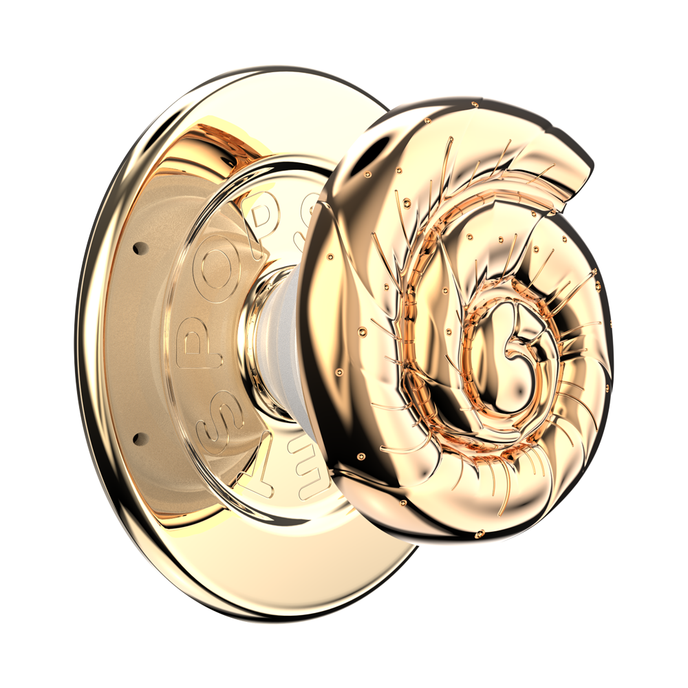 MSPG_Enamel-Nautilus-Shell_02_34_